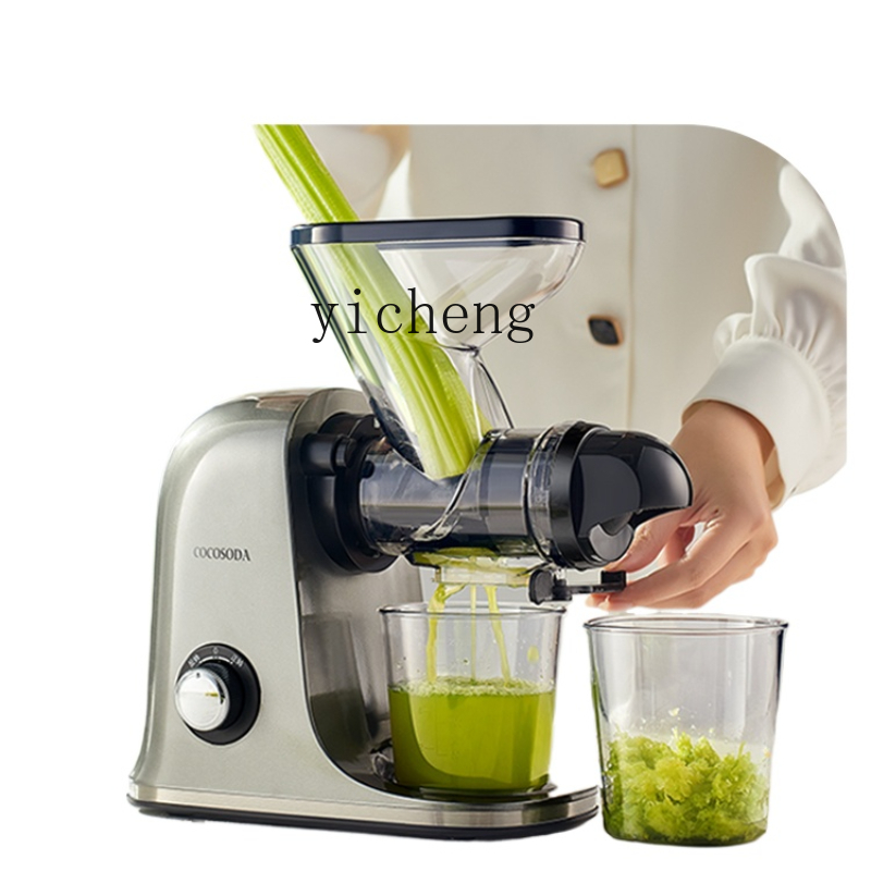 cc28 Low Speed Juicer Sapcentr - Juicer recensie en prijs