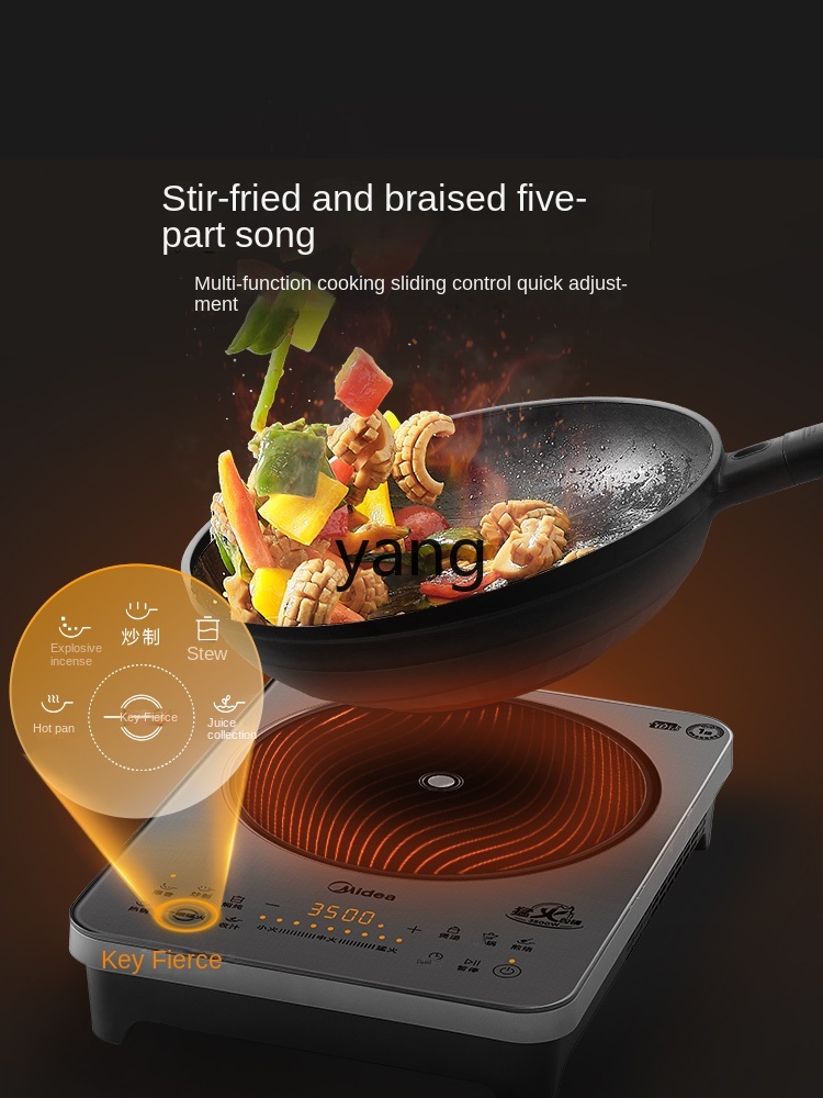 LMM Huishoudelijke inductiekoo - Induction Cooker recensie en prijs