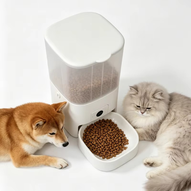 6L Automatische Kattenvoeder m - Kitchen Appliances Video recensie en prijs