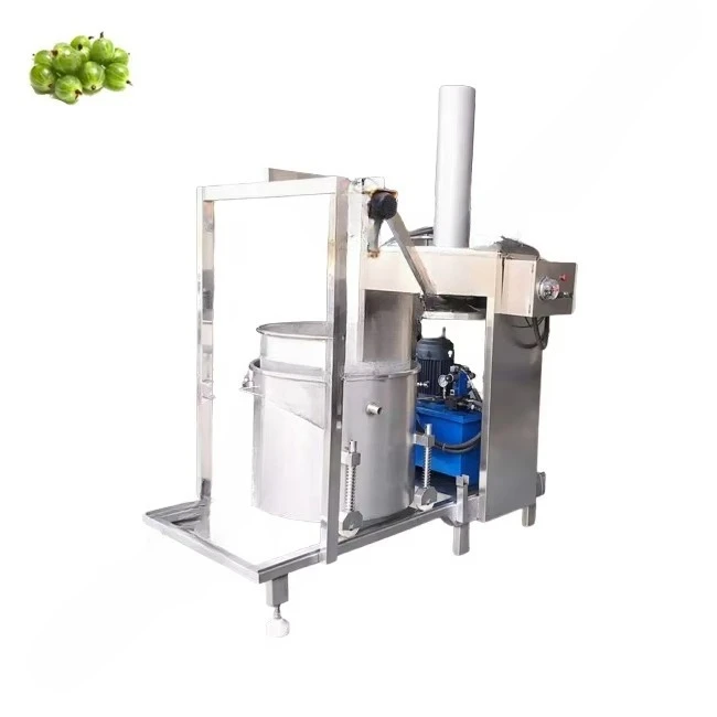 Industriële hydraulische sapce - Juicer recensie en prijs